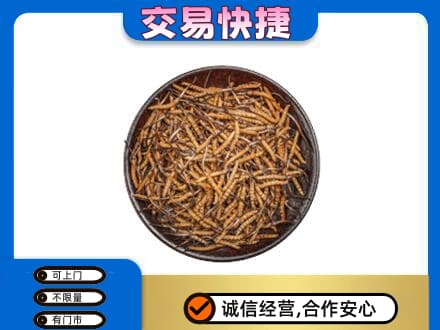 毕节威宁县高价回收散虫草