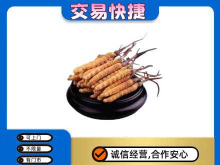 毕节威宁县回收冬虫夏草多少钱每克